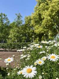 A Wetland Oasis by the River – Houtan Park, Shanghai