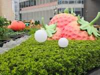 新都會廣場Metro Green必玩：有機蔬菜收割團