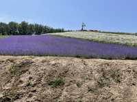 富良野：遇見最美的清池與花海