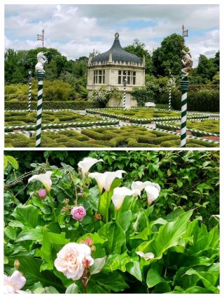 Hamilton Gardens