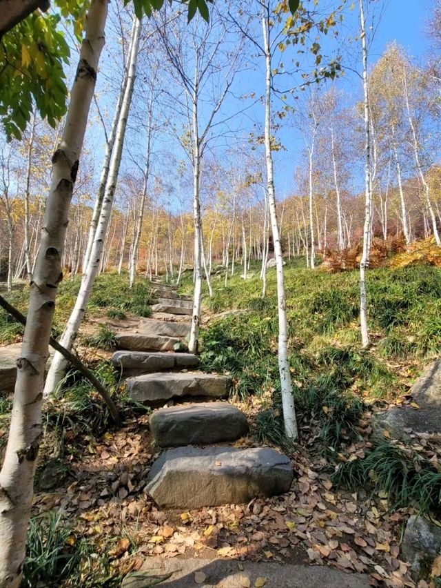 Strolling Through Hwadamsup