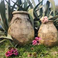 Soak in Nature at Whispering Cafe