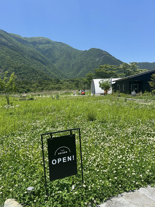 富士山の麓のワイナリー