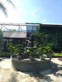 Coffee & Quirks: Budget Chill Spot Hidden in Desaru’s Green Corners