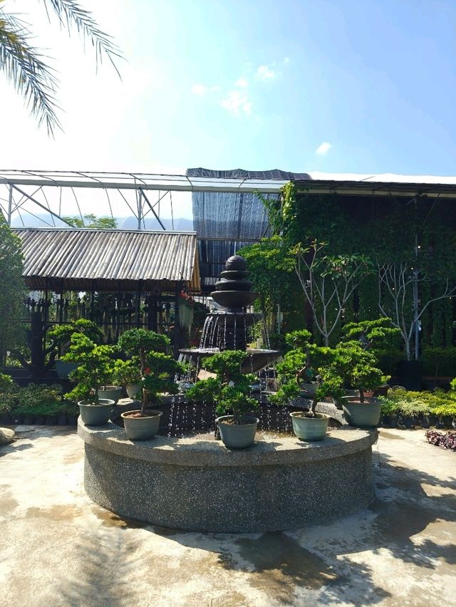 Coffee & Quirks: Budget Chill Spot Hidden in Desaru’s Green Corners