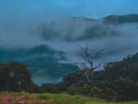 🌧️⛺️ ไร่ฝนเทียม – กางเต็นท์หน้าฝน