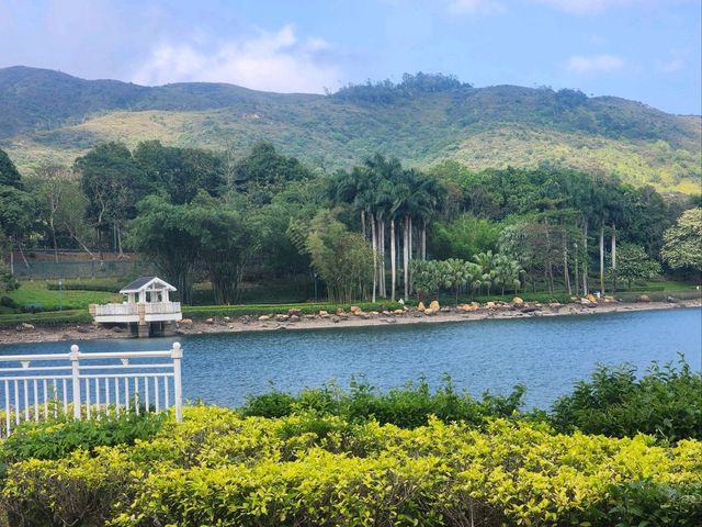 🎐遠離煩囂!迪欣湖讓你擁抱大自然🌳🌴🖼 🎐遠離煩囂!迪欣湖讓你擁抱大自然🌳🌴🖼