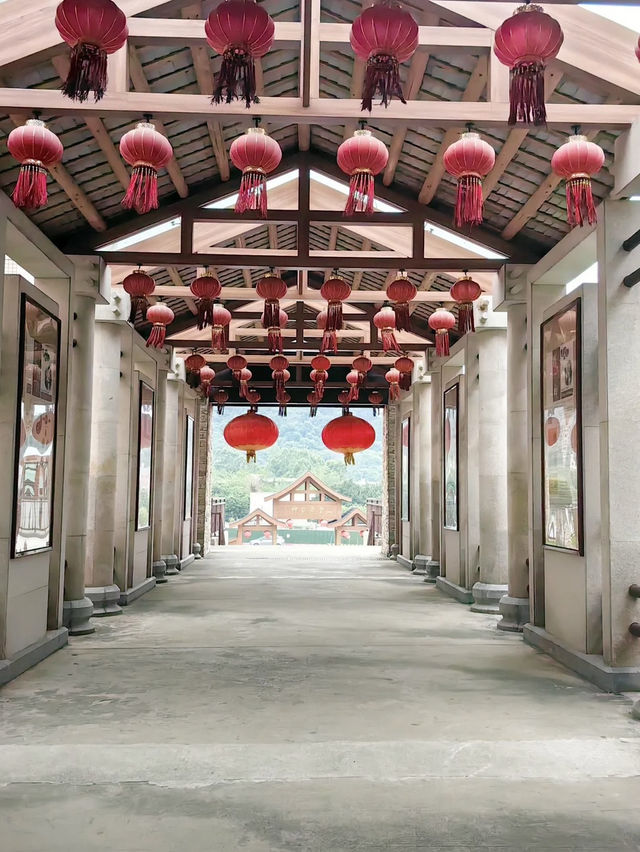 A Garden of Healing Wisdom – My Visit to Guangzhou Shennong Caotang TCM Museum