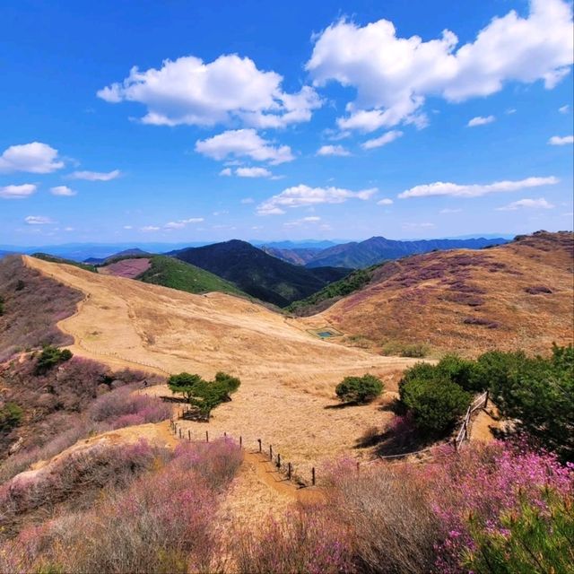 Hwawangsanseong Fortress Vibes in Changnyeong