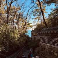 海東龍宮寺 (해동 용궁사)