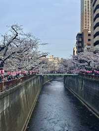 โอซาก้า🇯🇵