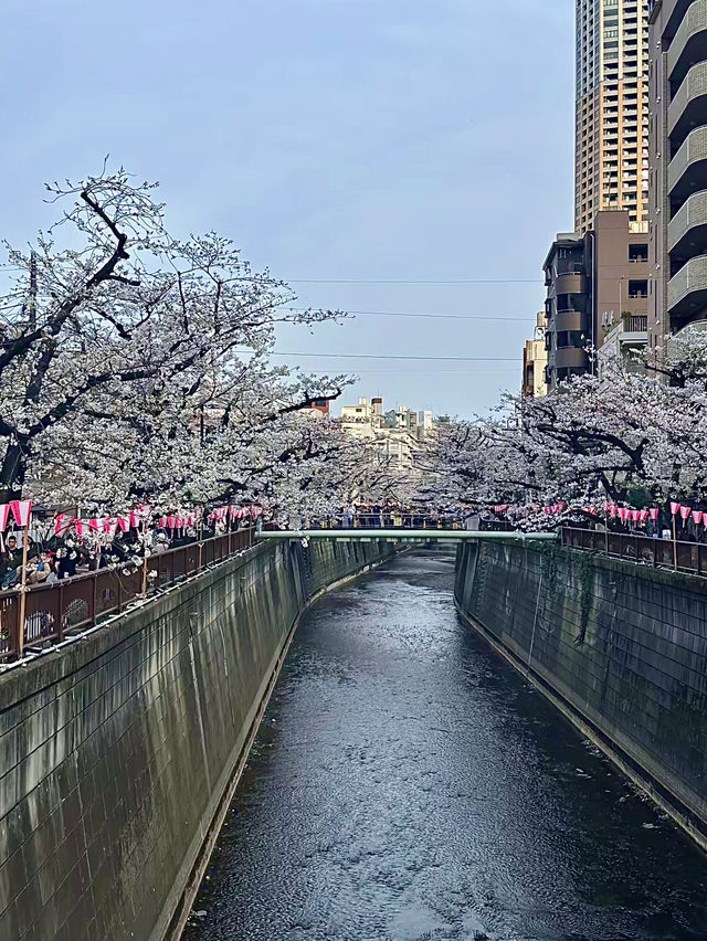 โอซาก้า🇯🇵
