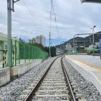 🚉 기차 타고 떠나는 묵호항 감성 여행 ✨