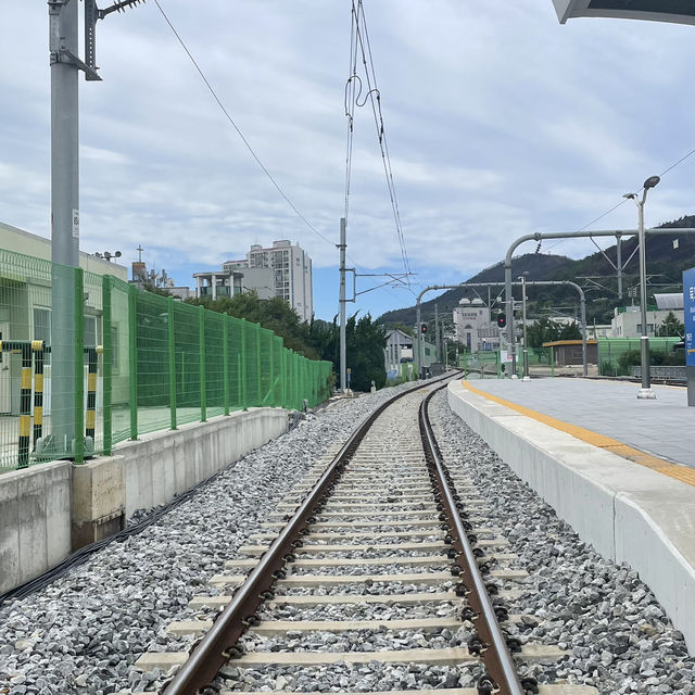 🚉 기차 타고 떠나는 묵호항 감성 여행 ✨
