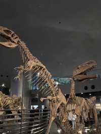 【福井県立恐竜博物館で太古の世界へ】子どもも大人も夢中になる恐竜旅🦖🌍