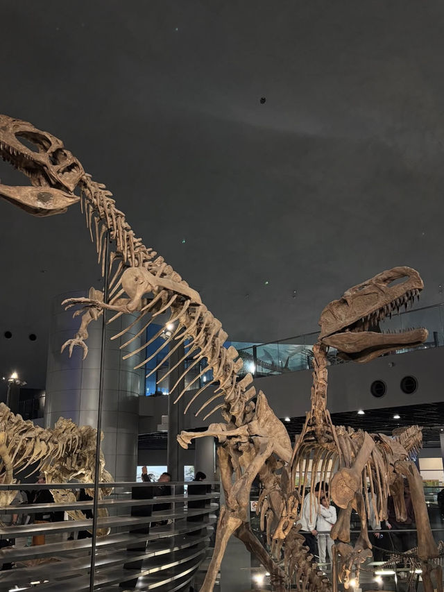 【福井県立恐竜博物館で太古の世界へ】子どもも大人も夢中になる恐竜旅🦖🌍