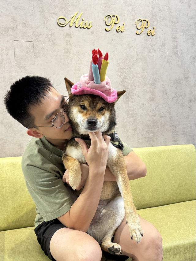 🐾《旅人的高雄毛孩手札》