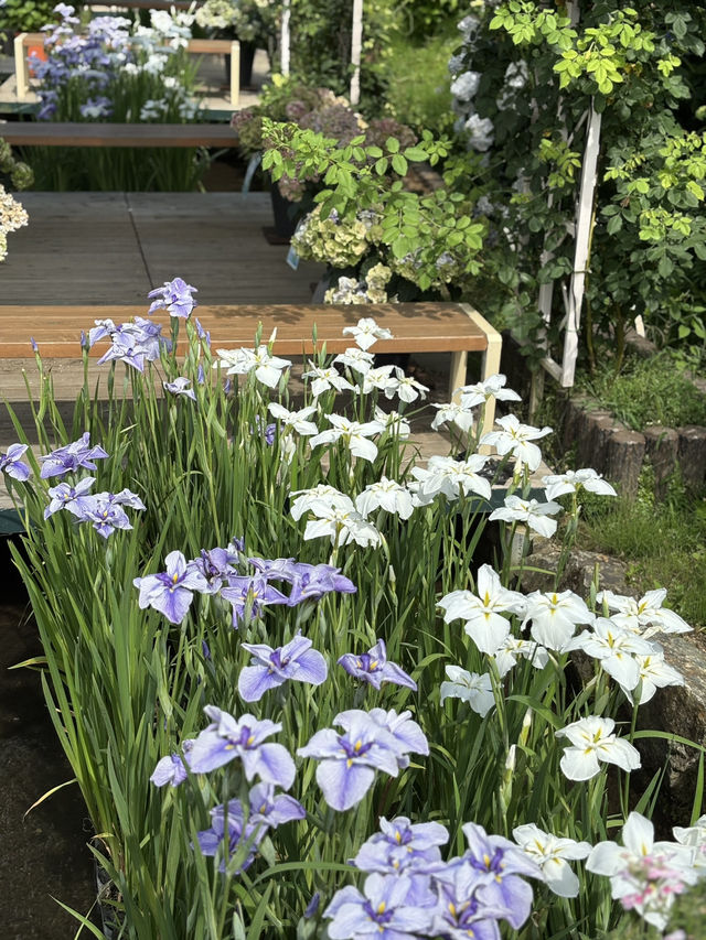 花に癒される！季節の花畑͛💠有名な観光地は？