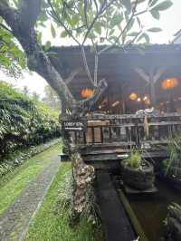 🇮🇩 Ubud Traditional Spa in Bali