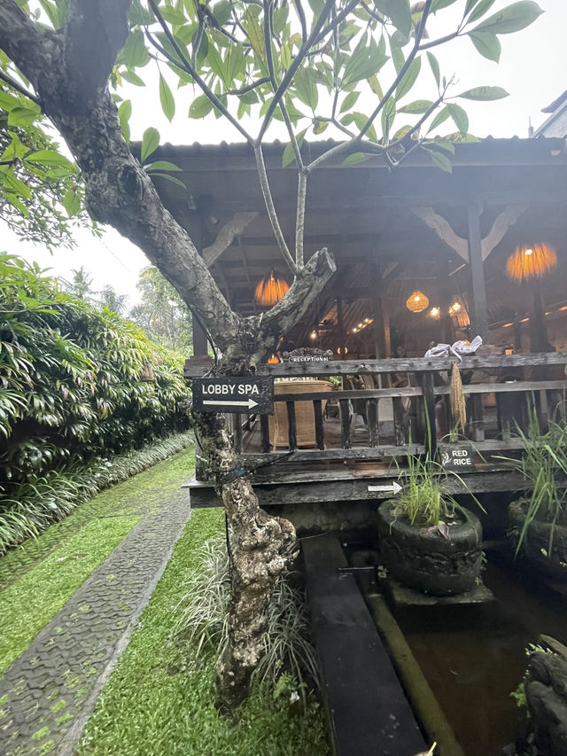 🇮🇩 Ubud Traditional Spa in Bali