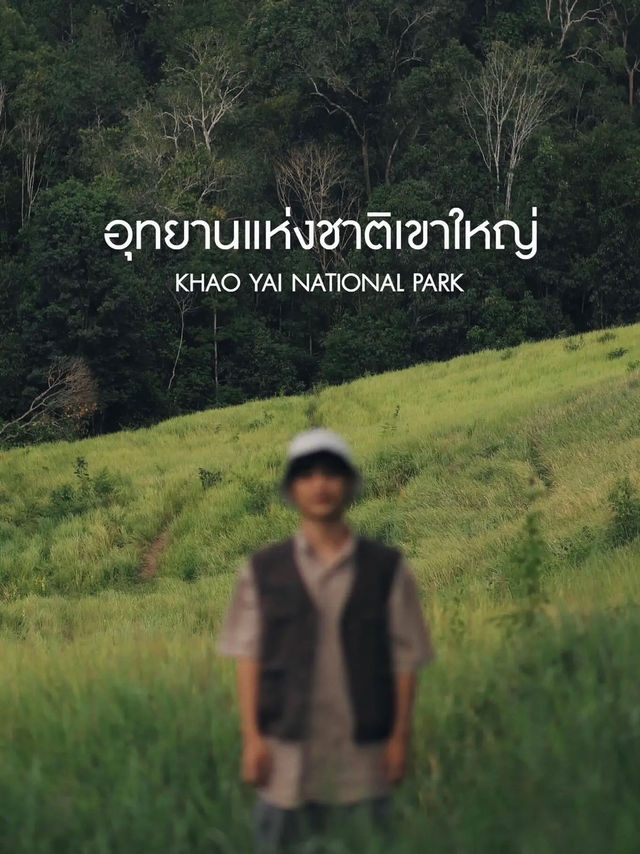 เขาใหญ่ในช่วงหน้าฝน เขียวมากกกก 💚🍃..............