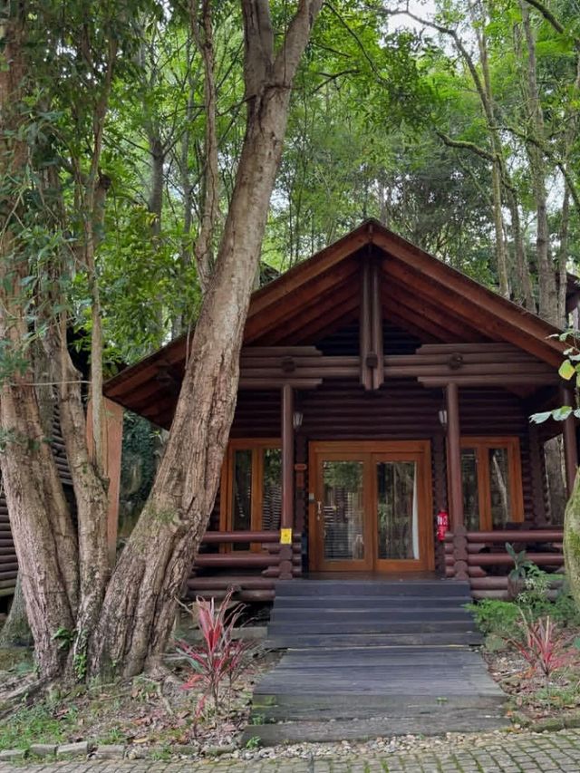 🍃✨ Philea Resort & Spa Melaka – Forest Feels with a Touch of Luxury! 🏡🌿