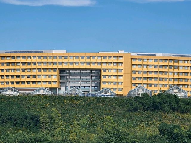 후쿠오카 근교여행 이토시마 전동자전거로 다녀오기