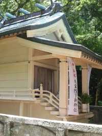 【海に続く神秘の鳥居⛩️阿古師神社で“祈りの絶景”に出会う】