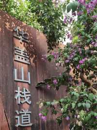 順德大良｜歷史街區 💕 嶺南特色的華蓋路商業步行街