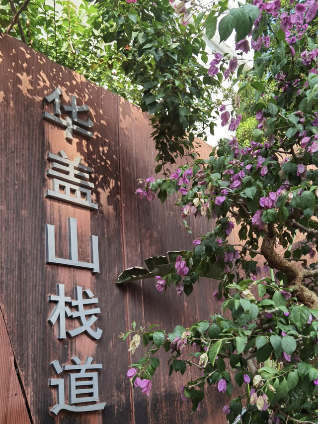 順德大良｜歷史街區 💕 嶺南特色的華蓋路商業步行街