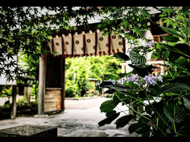 【博多の心に触れる旅】櫛田神社で歴史と祭りの息吹を感じよう
