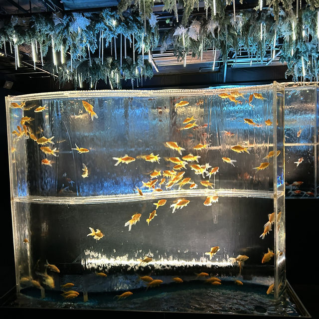 【銀座】 アートアクアリウム銀座美術館 GINZA