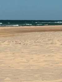 🚙【砂の島で冒険と癒し】フレーザー島（K'gari）で自然と遊ぶ旅