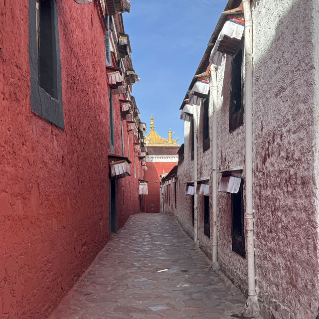 西藏旅遊🧳