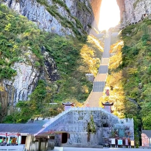 Dreaming of Zhangjiajie, Thanks to Xiyue Hotel! ☁️⛰️✨