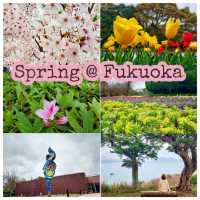 Spring @ Fukuoka 