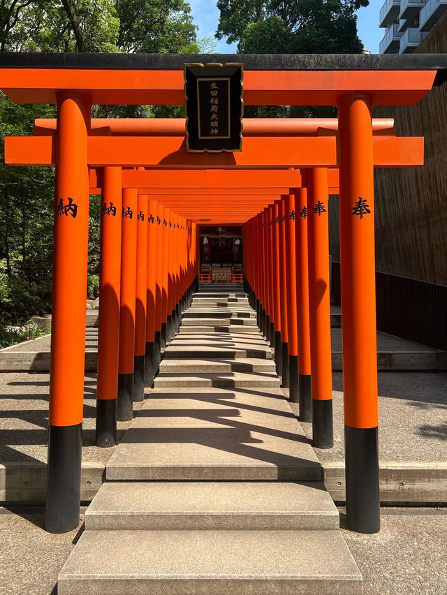 【生田神社】縁結びのパワースポットで、心も運も整える神戸旅💖✨