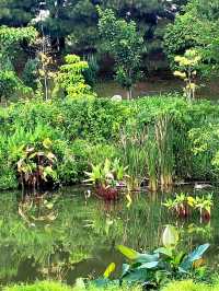 The impressive awe-inspiring Reflection Pond