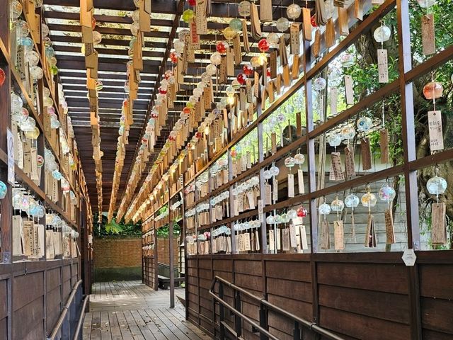 日式建築與歷史交錯的靜謐之地〔桃園忠烈祠暨神社文化園區〕⛩️