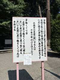 磯山神社あじさいと夏祓い