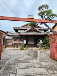 Kamigyo Ward: Where History Breaths Through Imperial Walls