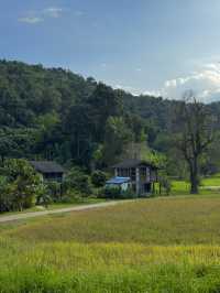 โฮมสเตย์กลางหุบเขา แม่แตง เชียงใหม่ 🏡🍃