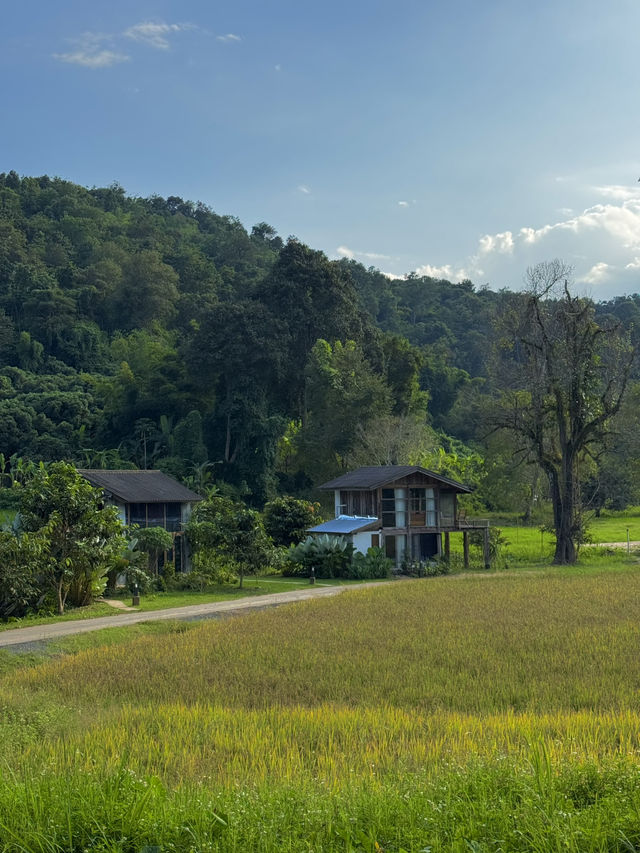 โฮมสเตย์กลางหุบเขา แม่แตง เชียงใหม่ 🏡🍃