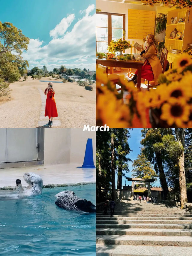 2025上半期行って良かった旅先BEST3✈️❤️