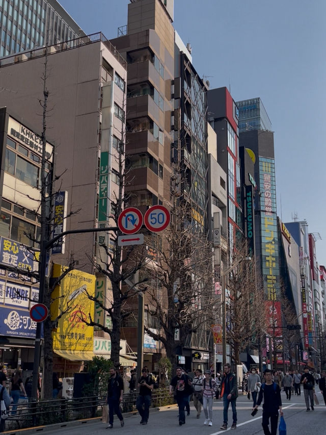 Akihabara สวรรค์ของคนรักของเล่น💖