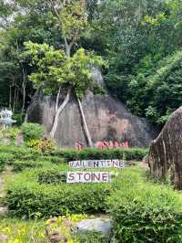 Lamai Viewpoint 