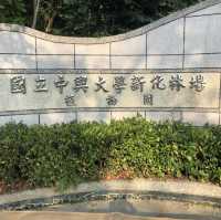 台南新化林場