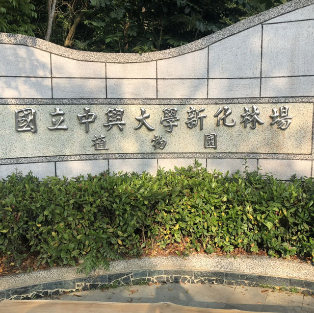 台南新化林場