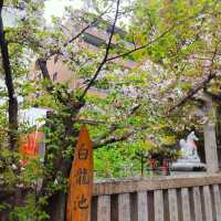 ขอพรความรักที่ Tamutsukuri Inari-jinja Shrine