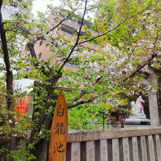 ขอพรความรักที่ Tamutsukuri Inari-jinja Shrine